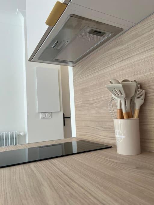 Magnifique T2 Proche Et Refait A Neuf Avec Terrasse Appartement
